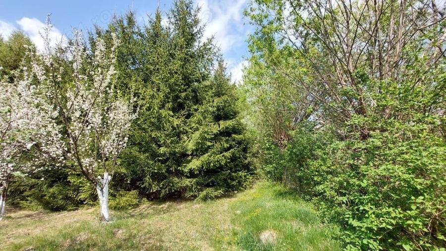 Teren de 5000 mp, în Pietroasa