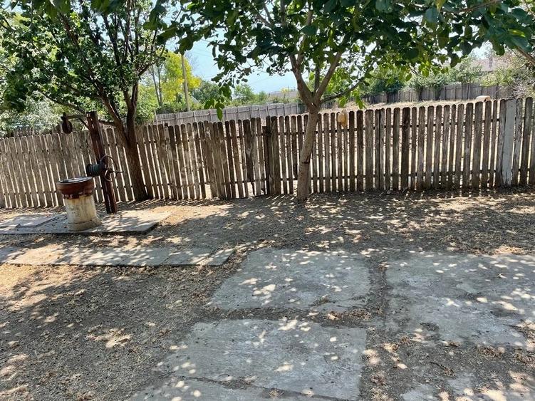 Casă cu 4 camere cu Teren 4614 Mp în Lăstuni