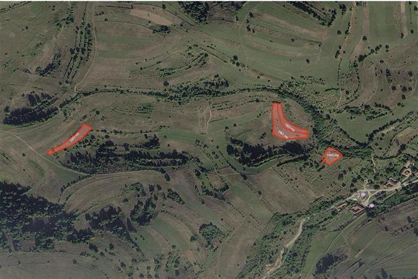 Teren intravilan de 109310 mp, în Cărpinet