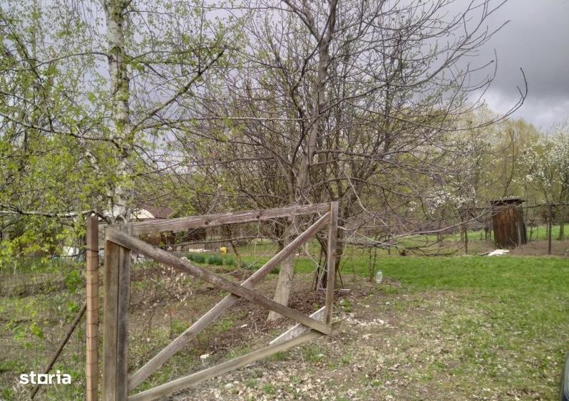 Spațiu comercial, în Sălicea