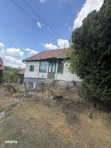 Casă cu 3 camere cu Teren 29000 Mp în Central