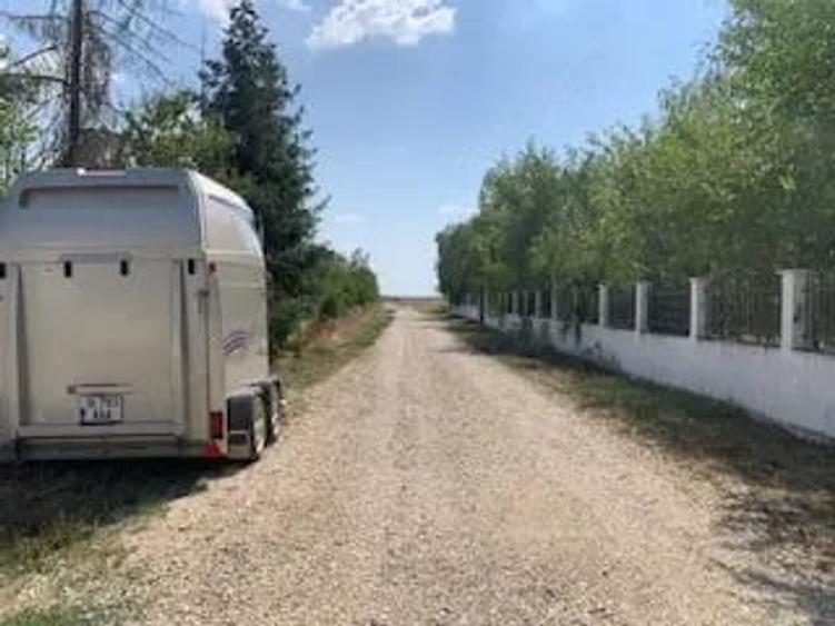 Teren în Vlădiceasca