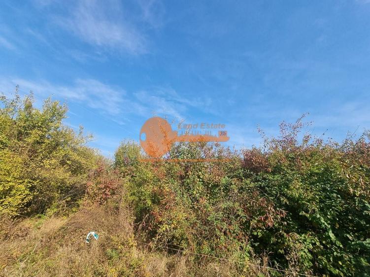 Teren Construcții intravilan de 2953 mp, în Mogoșoaia