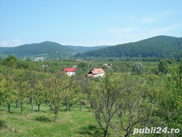 Teren de 7827 mp, în Bălilești