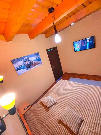Casă cu Teren 1260 Mp în Beliș