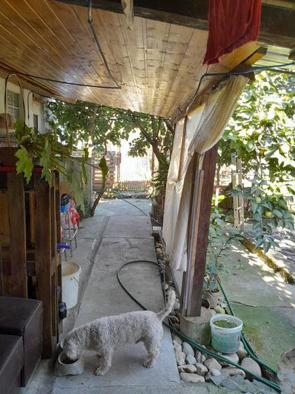 Casă cu 7 camere cu Teren 1420 Mp în Dumbrava