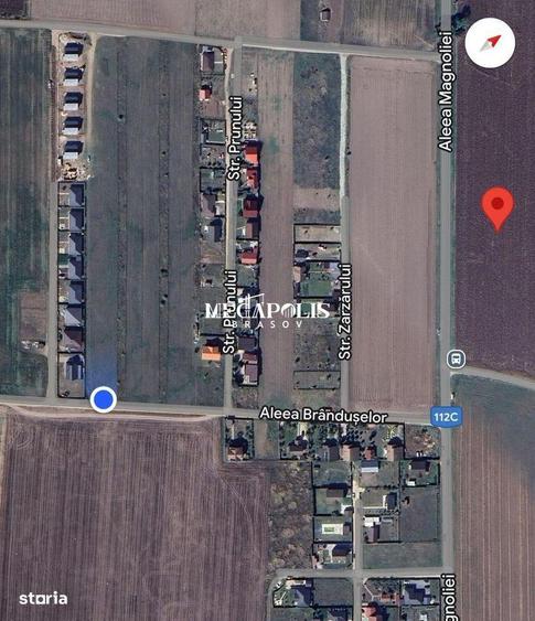 Teren de vinzare HALCHIU 41 PARCELE - 23.230mp - 2