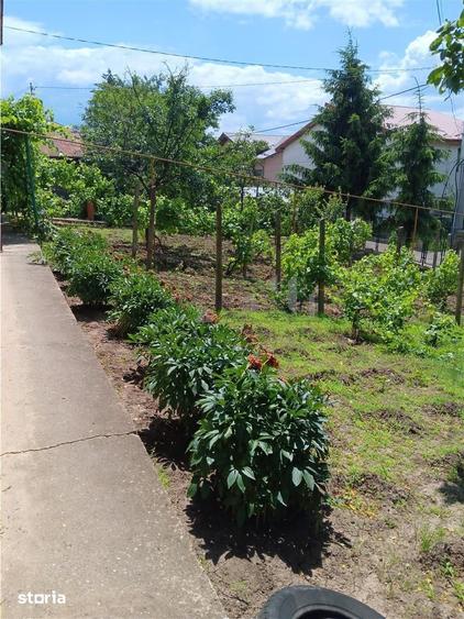 Casă cu 5 camere cu Teren 1000 Mp în Copou