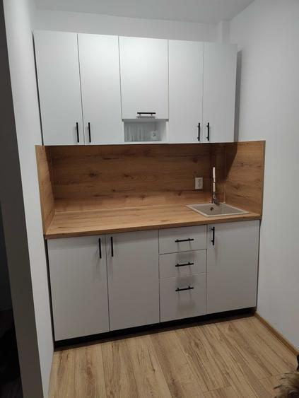 De inchiriat Apartament 2 camere Capsunarie/Ford/Damila - 6