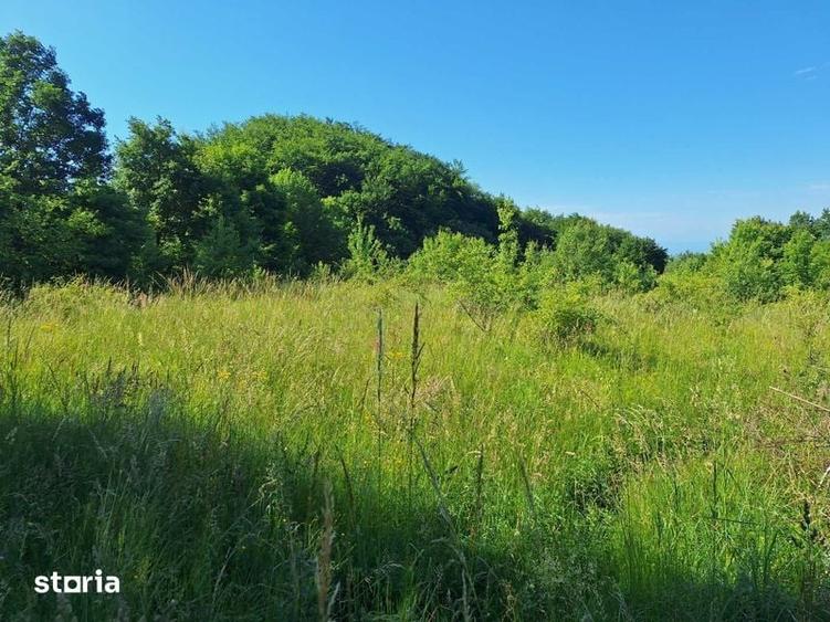 Teren de 36200 mp, în Certeju de Sus