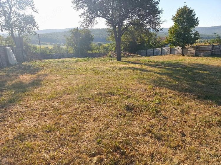 Teren de 1560 mp, în Ciurea