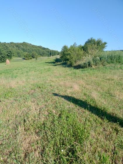 Teren în Valea Albă