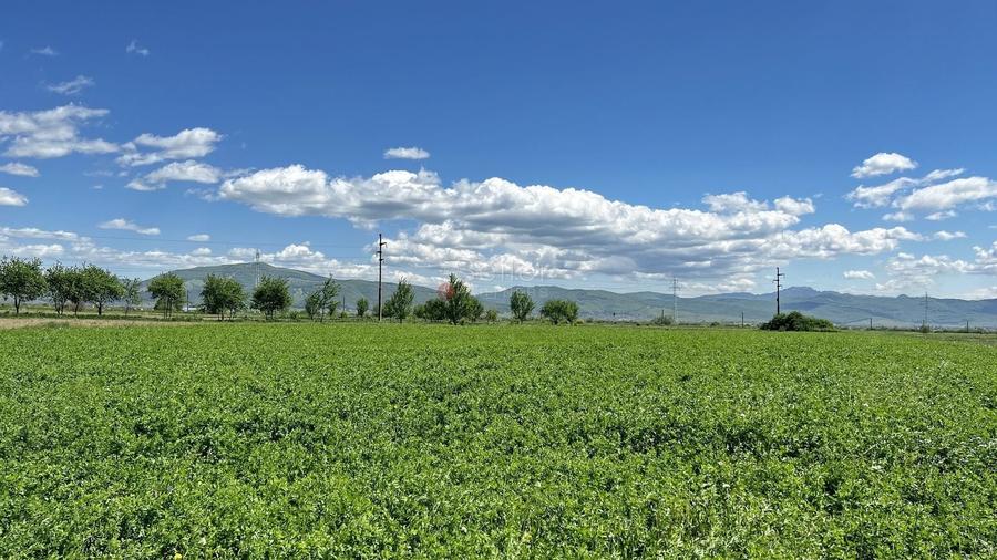 Teren Construcții intravilan de 6772 mp, în Prejmer