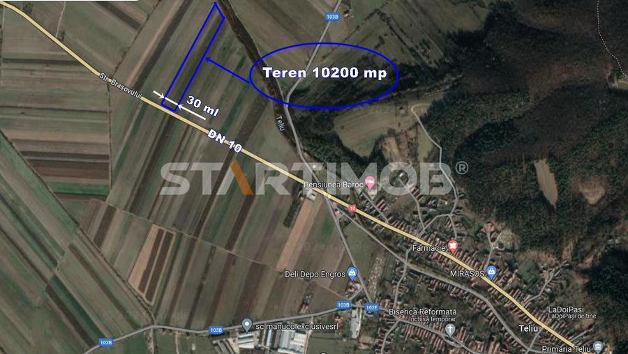Teren agricol extravilan de 10200 mp, în Teliu