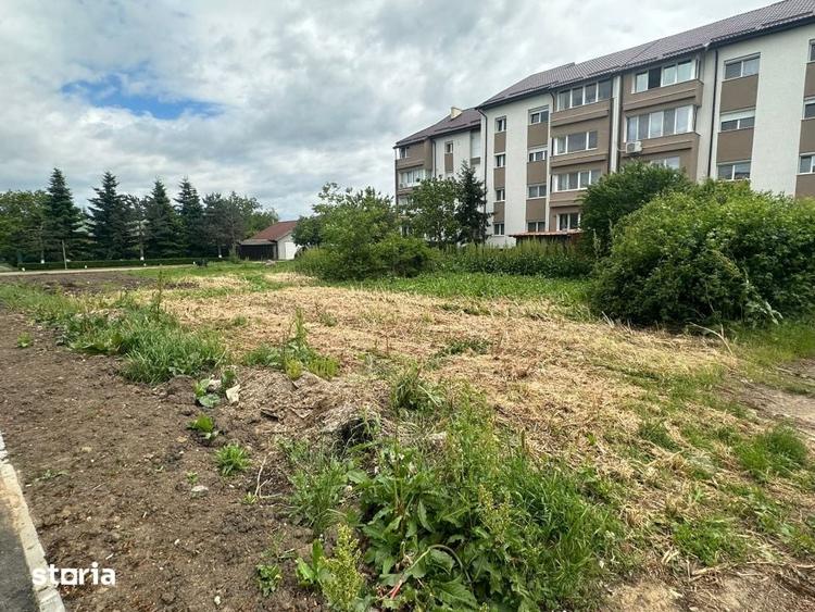 Teren intravilan 1158 mp, Snagov, Ghermanesti, deschidere 50 ml - 7