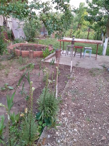 Casă cu 2 camere cu Teren 2930 Mp în Valea Stanciului