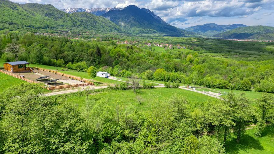 Teren Construcții intravilan de 500 mp, în Glăjărie