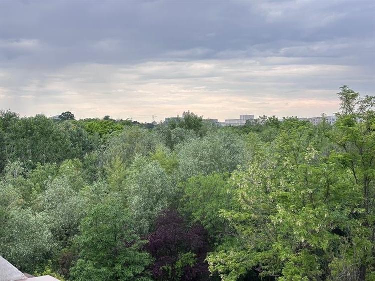 Apartament cu 2 camere decomandat în Văcăresti