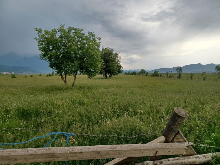 Teren Construcții intravilan de 10500 mp, în Exterior Nord