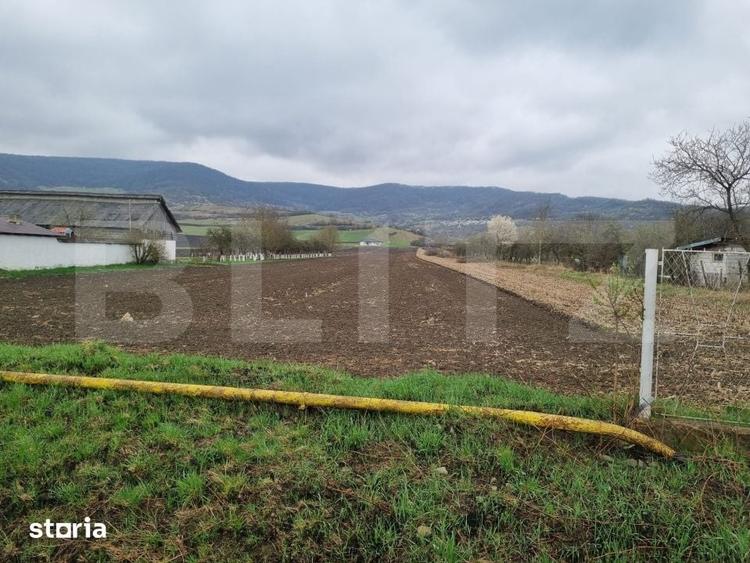 Teren de 800 mp, în Șieu