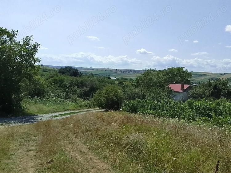Teren de 6100 mp, în Cehal