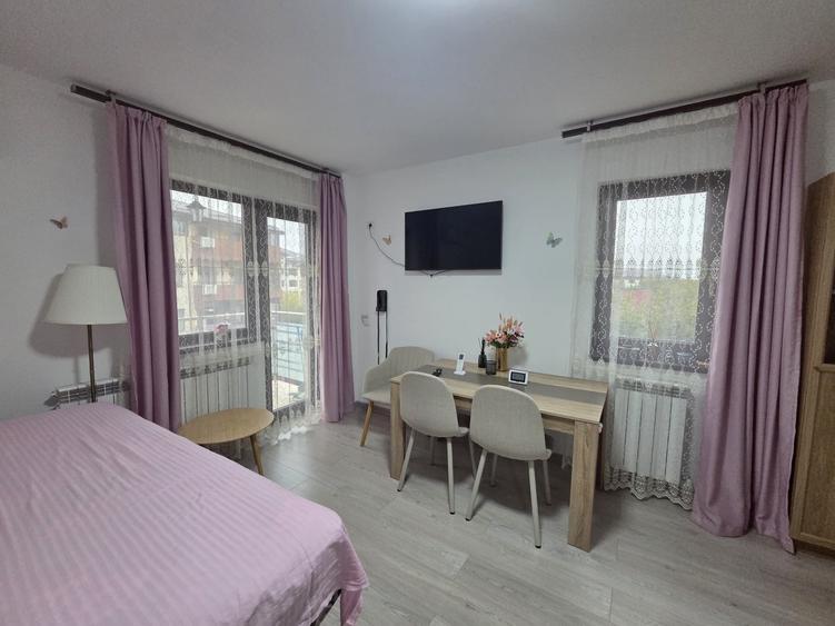 Garsonieră decomandată în Valea Lupului
