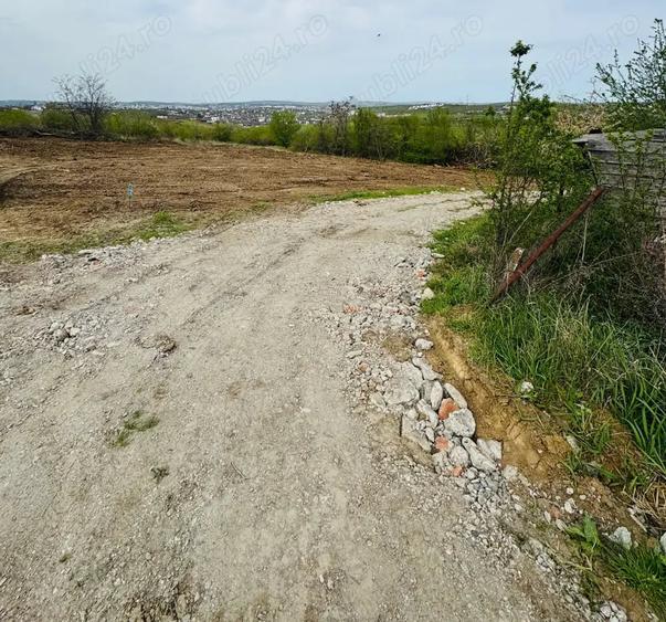 Teren de 100 mp, în Vișan