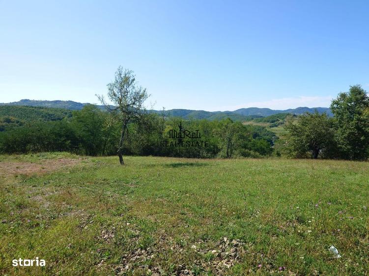 Teren de 8757 mp, în Luncoiu de Jos