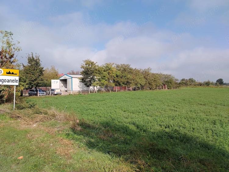Teren 2.600 mp - deschidere 35m-intrare Pogoanele dinspre Buzau - 2