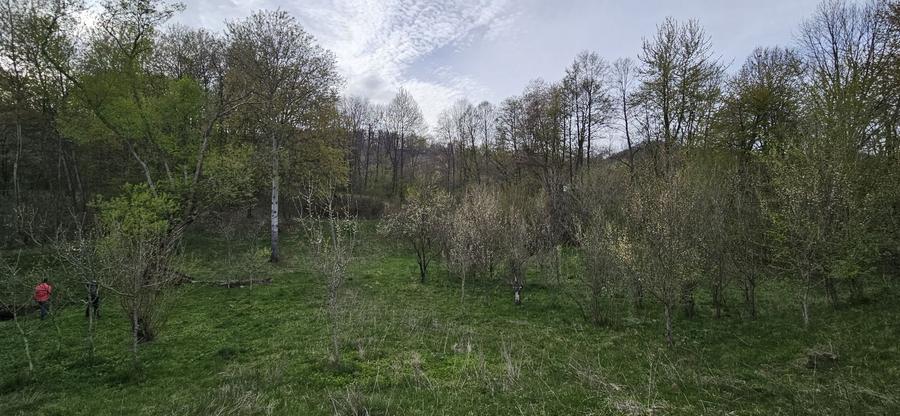 Teren de 3320 mp, în Provița de Sus