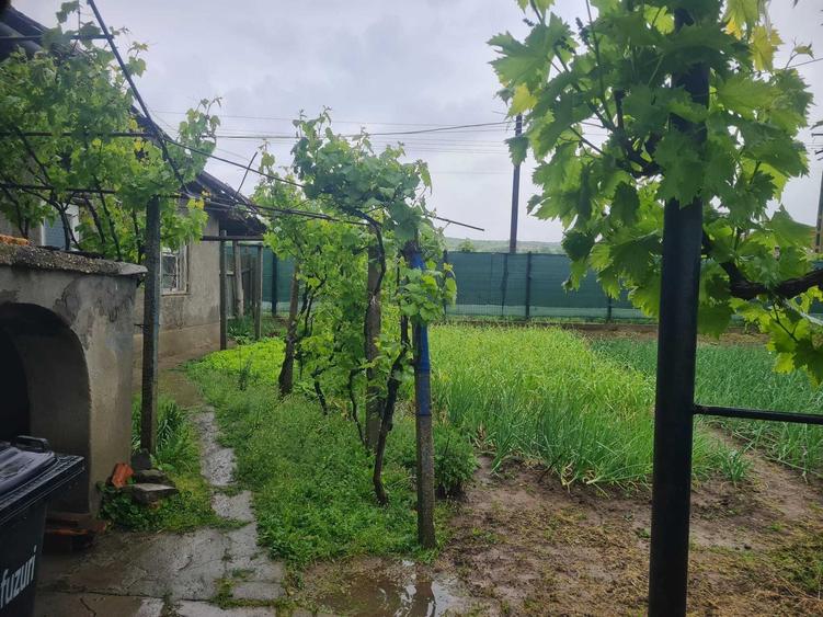 Casă cu 4 camere în Oltina