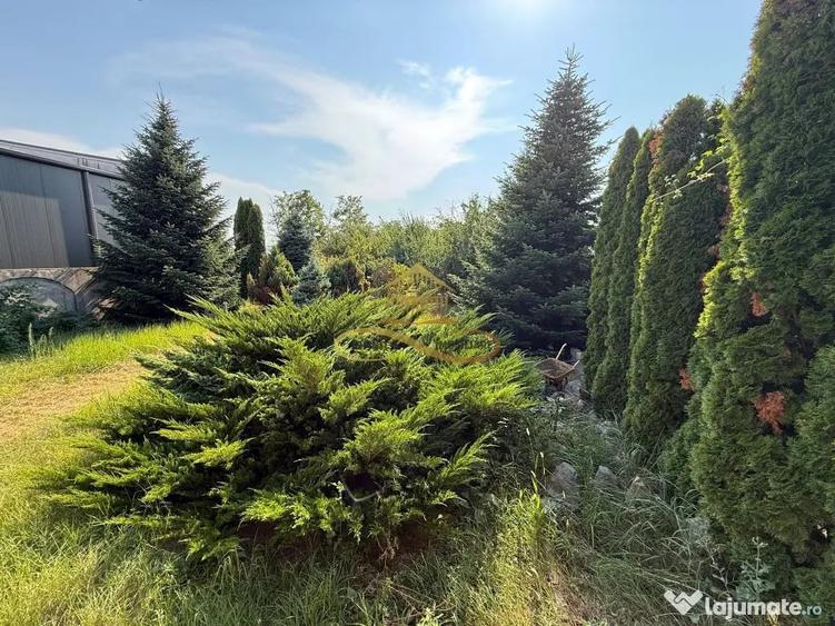 Casă cu 5 camere cu Teren 1715 Mp în Calea Romanului