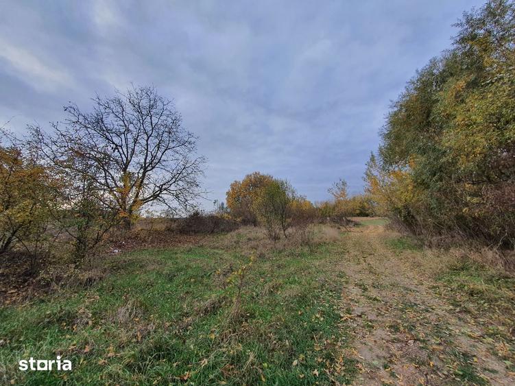Teren de vanzare Dumbrava Minunata in Domnesti, Ilfov - 8