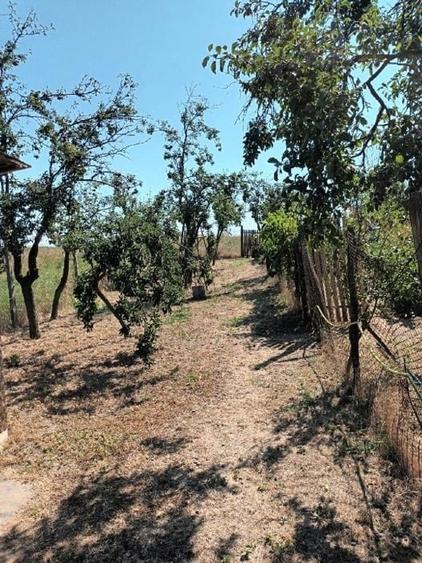 Casă individuală cu 3 camere cu Teren 1736 Mp în Martalogi