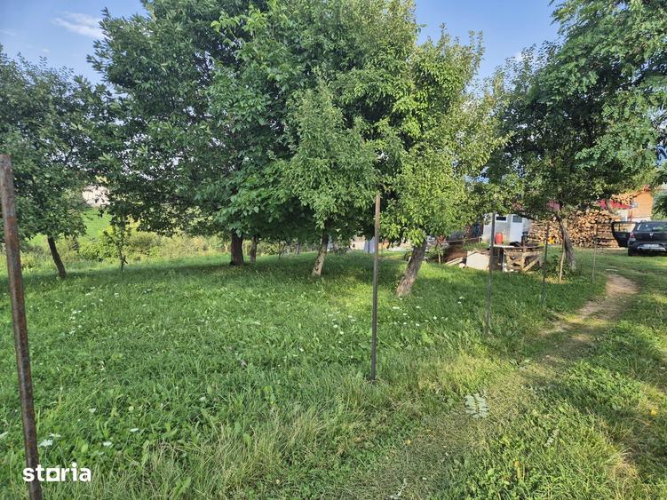 Teren de 3456 mp, în Moieciu
