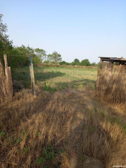 Teren de 3700 mp, în Iazurile