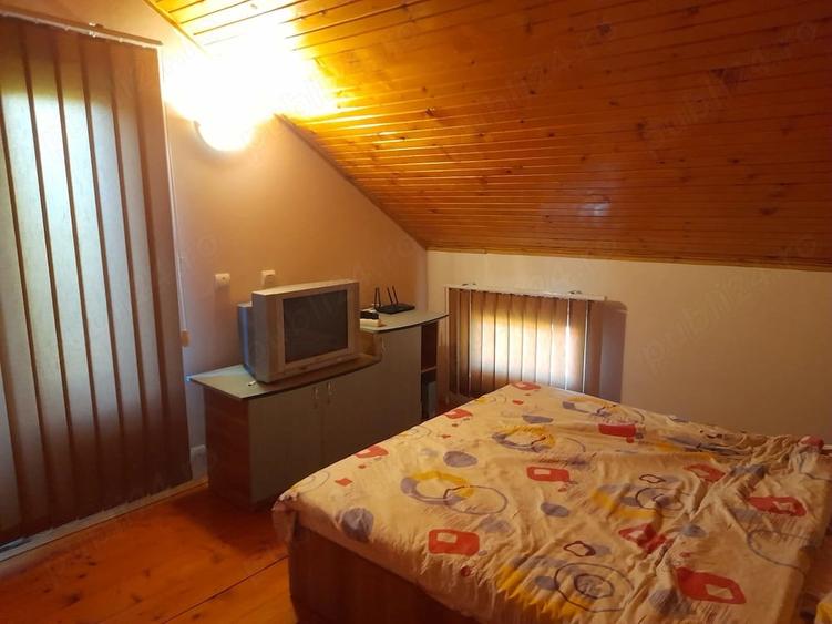 Casă cu Teren 2440 Mp în Sasca Română