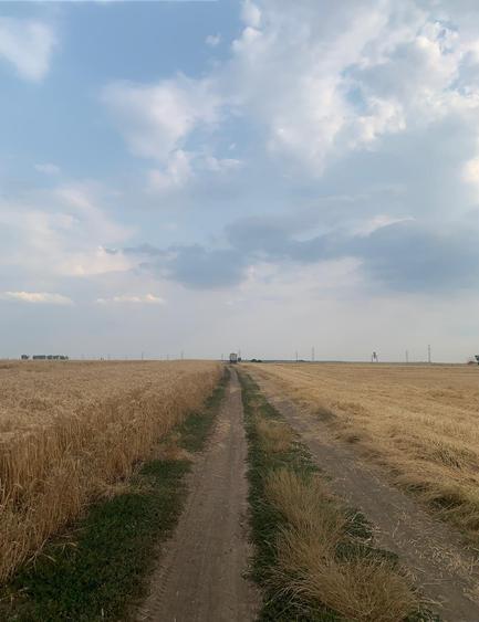 Teren Construcții intravilan de 30000 mp, în Ștefăneștii de Jos