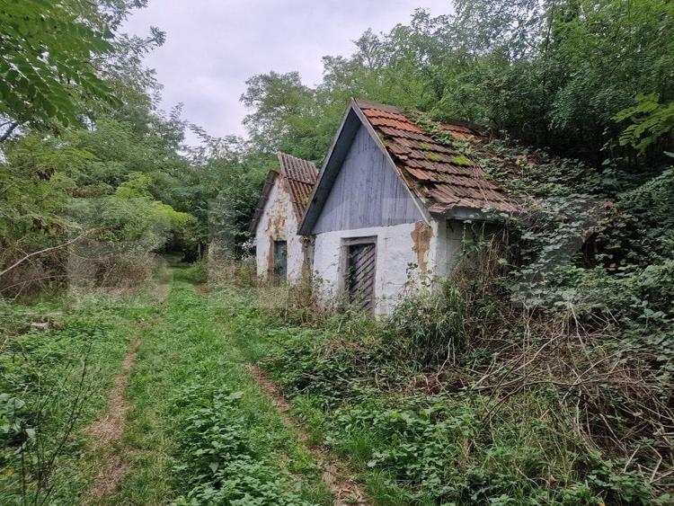 Teren Construcții intravilan de 79000 mp, în Sud