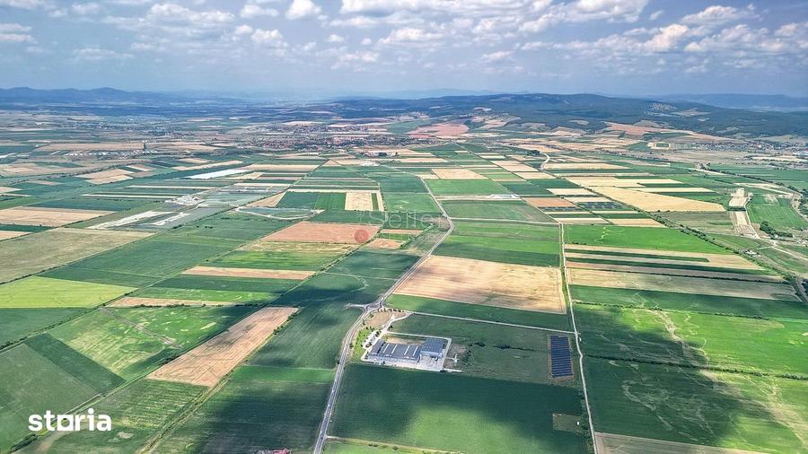 Teren de 60000 mp, în Hălchiu