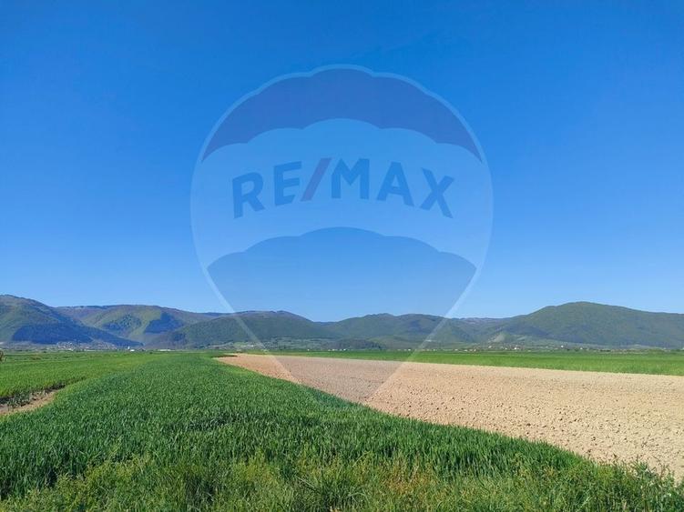 Teren agricol extravilan de 1724 mp, în Gura Râului