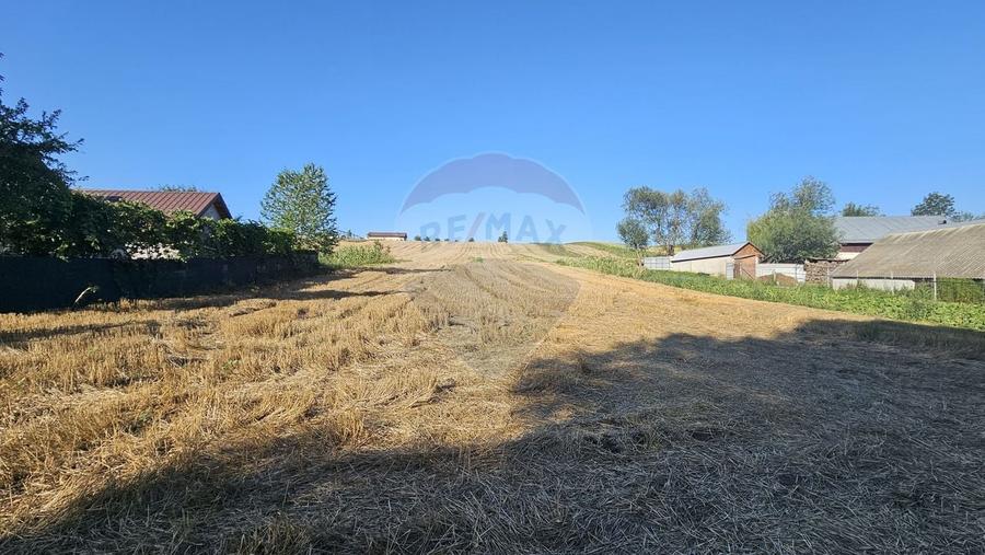 Teren Construcții intravilan de 7500 mp, în Moara Carp