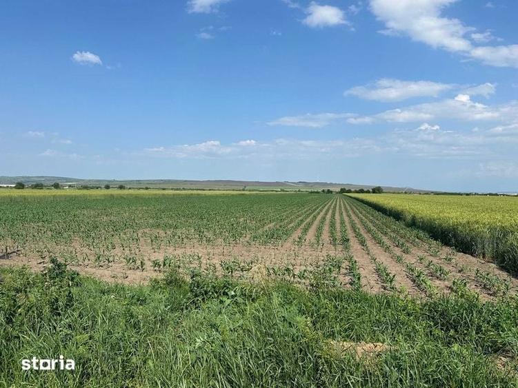 Vand teren 18.100 mp pentru dezvoltare in Sura Mica / jud. Sibiu - 3