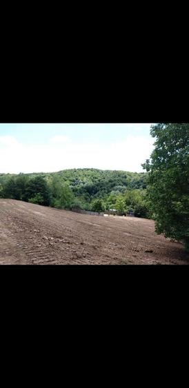Teren de 2250 mp, în Căciulata