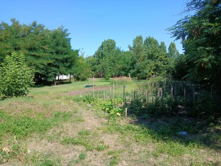 Teren de 4.21 mp, în Central