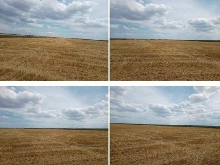 Teren agricol extravilan de 22810 mp, în Frumușani
