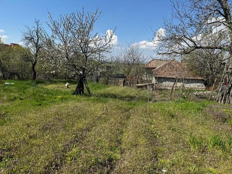 Casă cu Teren 2000 Mp în Valea Fetei