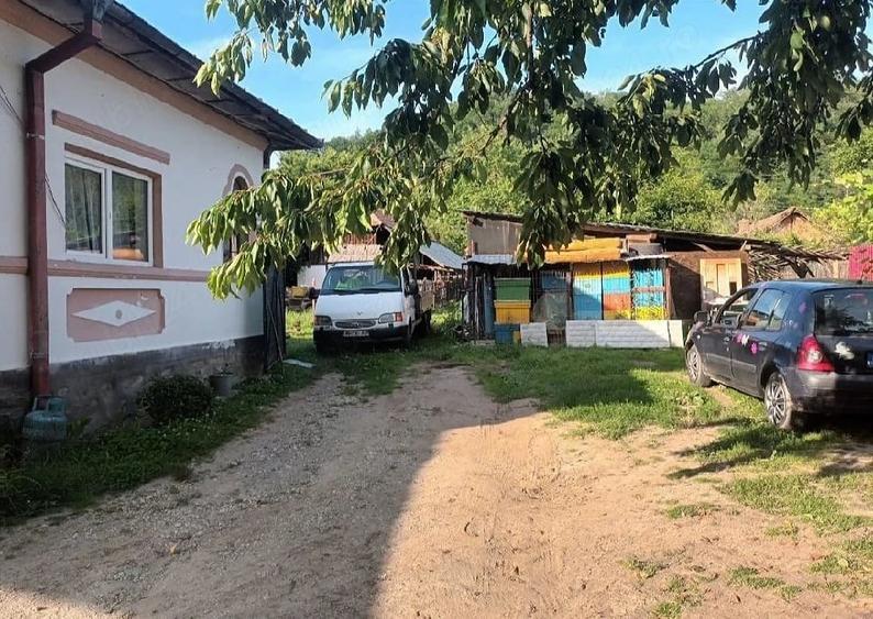 Casă cu Teren 2000 Mp în Dăești