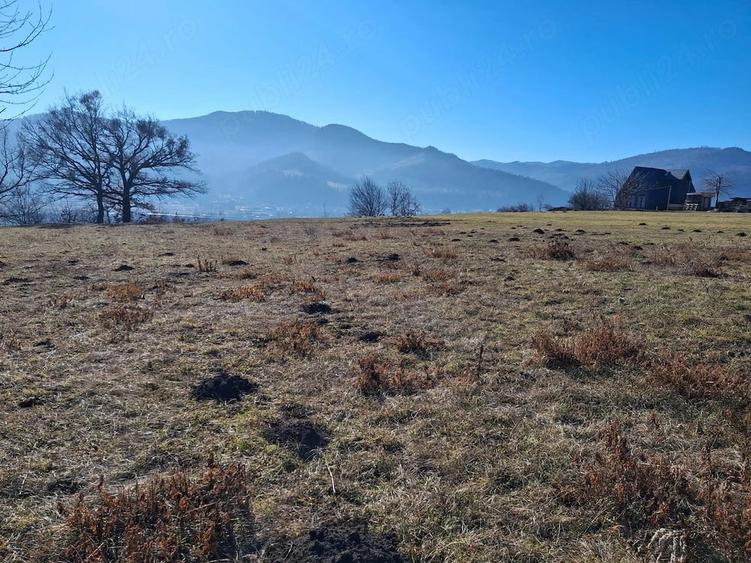 Teren de 1434 mp, în Viișoara