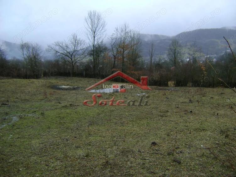 Teren de vanzare in Provita de jos